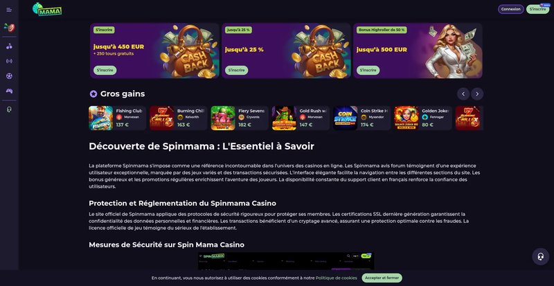 La revolución del ocio digital en las casas de familia españolas, spinmama casino españa